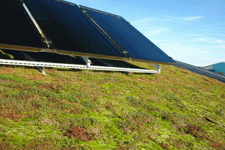zöldtető-napelemmel